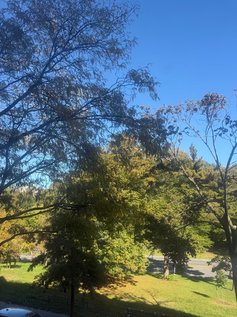 Grand Concourse / Van Cortlandt Avenue - Photo 17