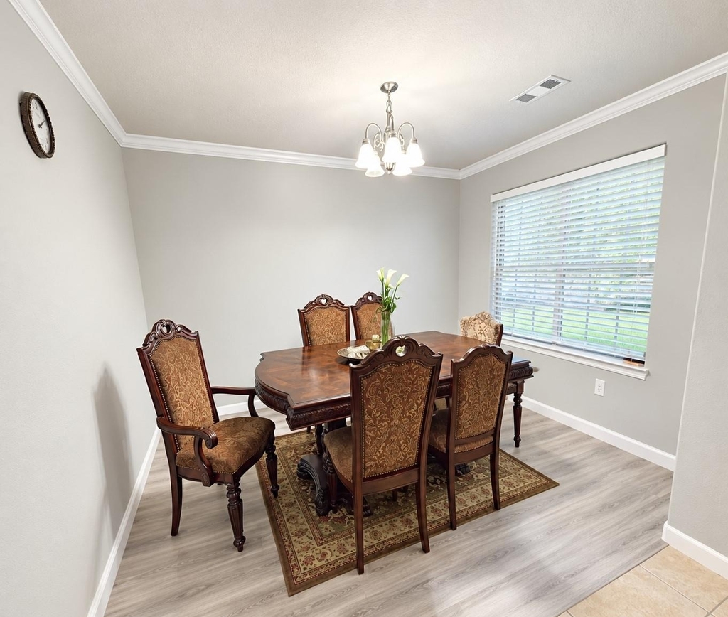 1107 Honeysuckle Vine Drive - Photo 5