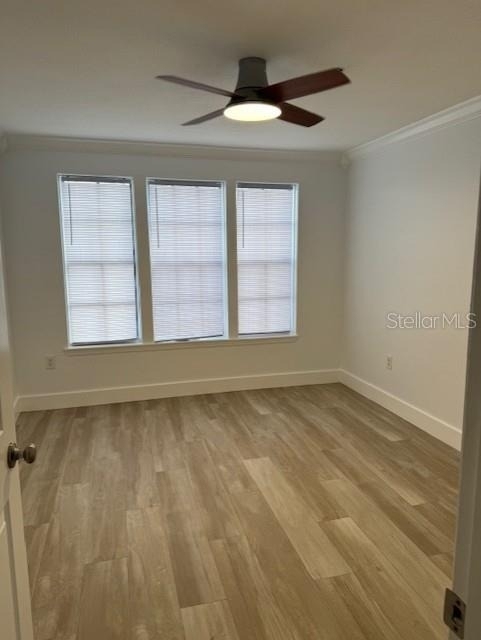 1000 W Horatio Street - Photo 11