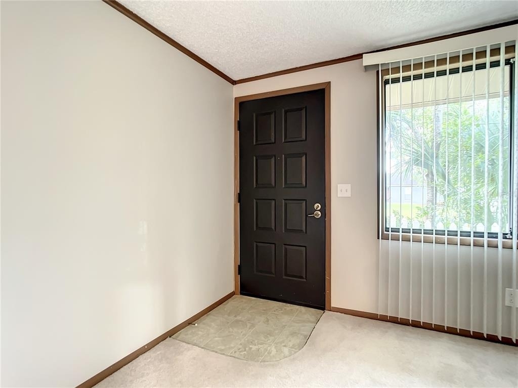 310 Camellia Street - Photo 2