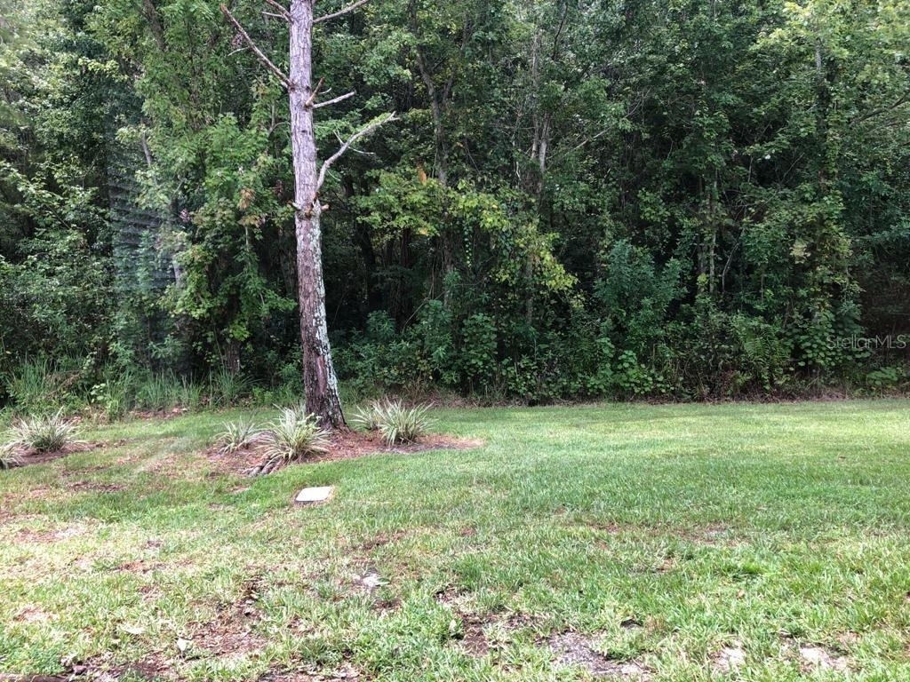 6442 S Goldenrod Road - Photo 33