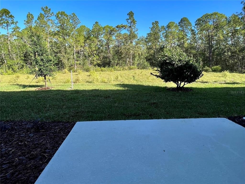 3619 Davenport Creek Court - Photo 10