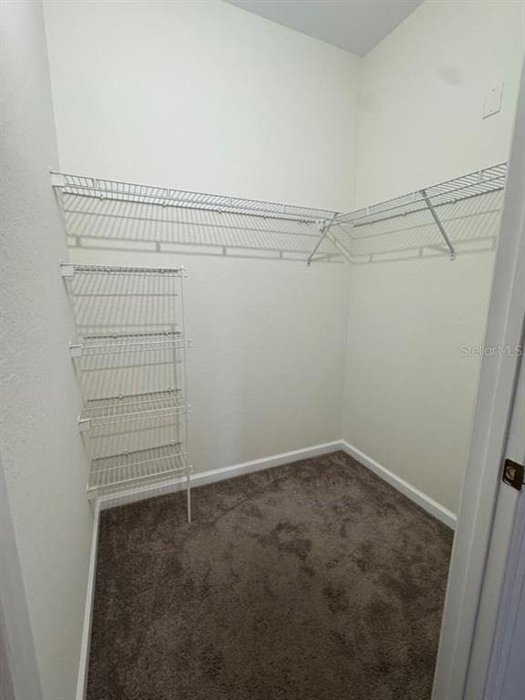 13536 Turtle Marsh Loop - Photo 14