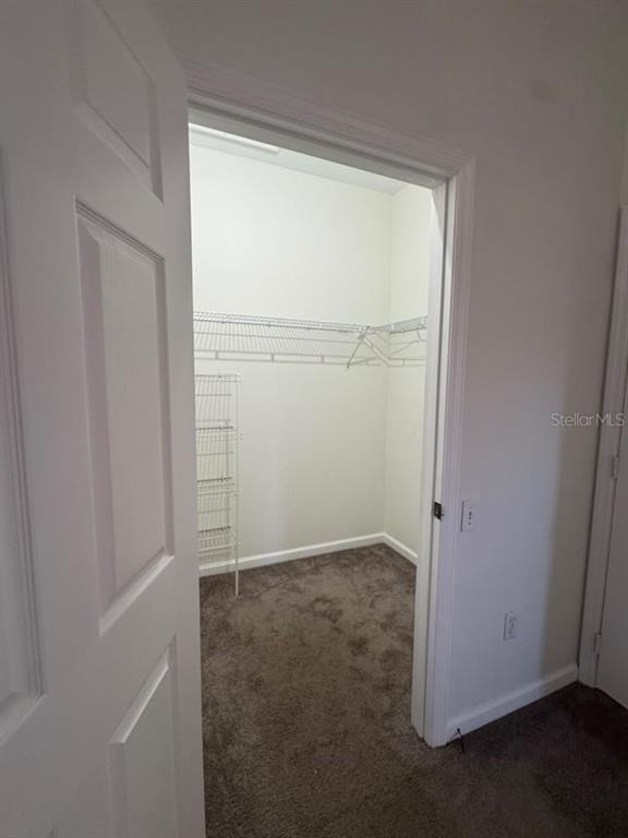 13536 Turtle Marsh Loop - Photo 13