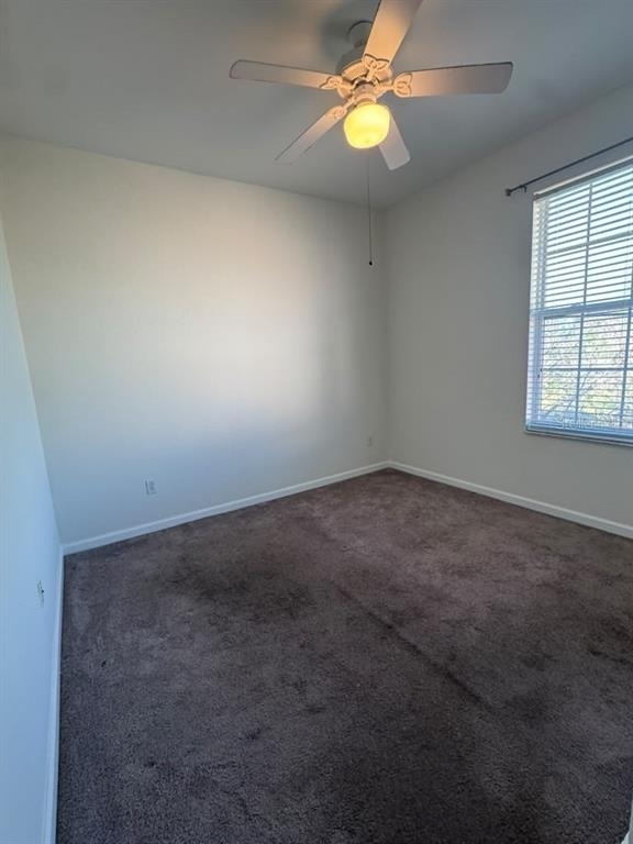 13536 Turtle Marsh Loop - Photo 21