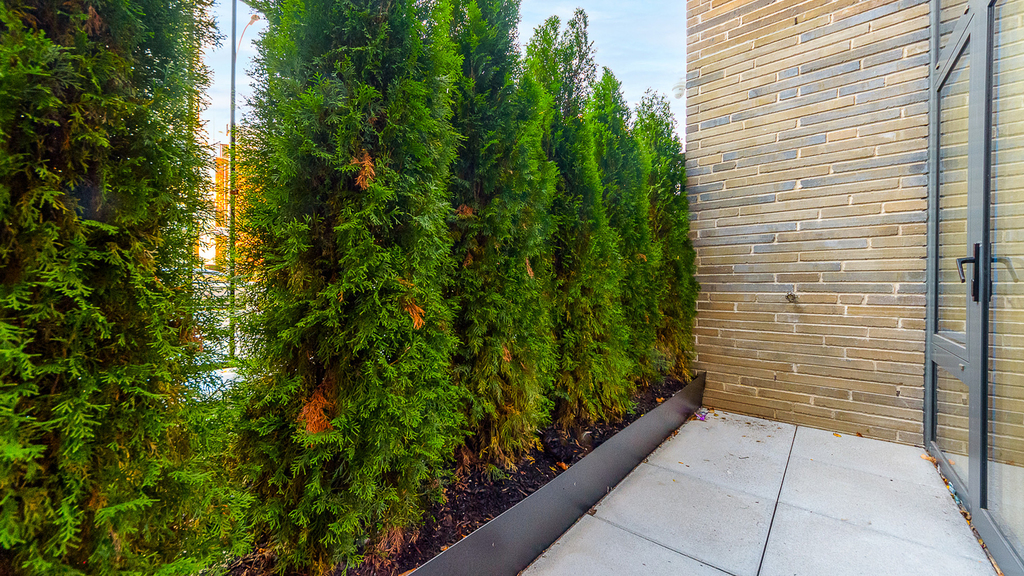 817 Classon Ave - Photo 8