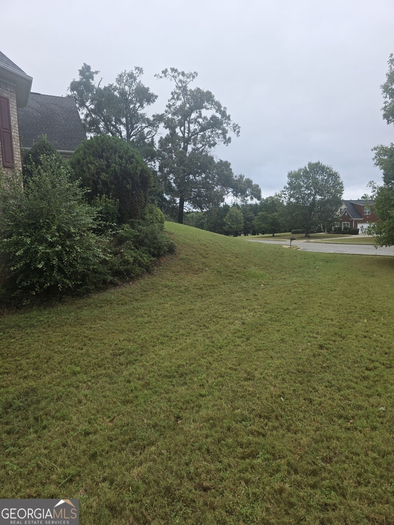 332 Thistlewood Run - Photo 1