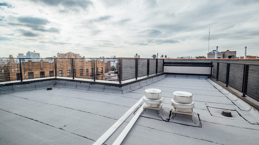 12 Ford St 11213 - Photo 10