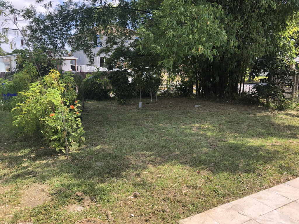 2523 Scott Street - Photo 7