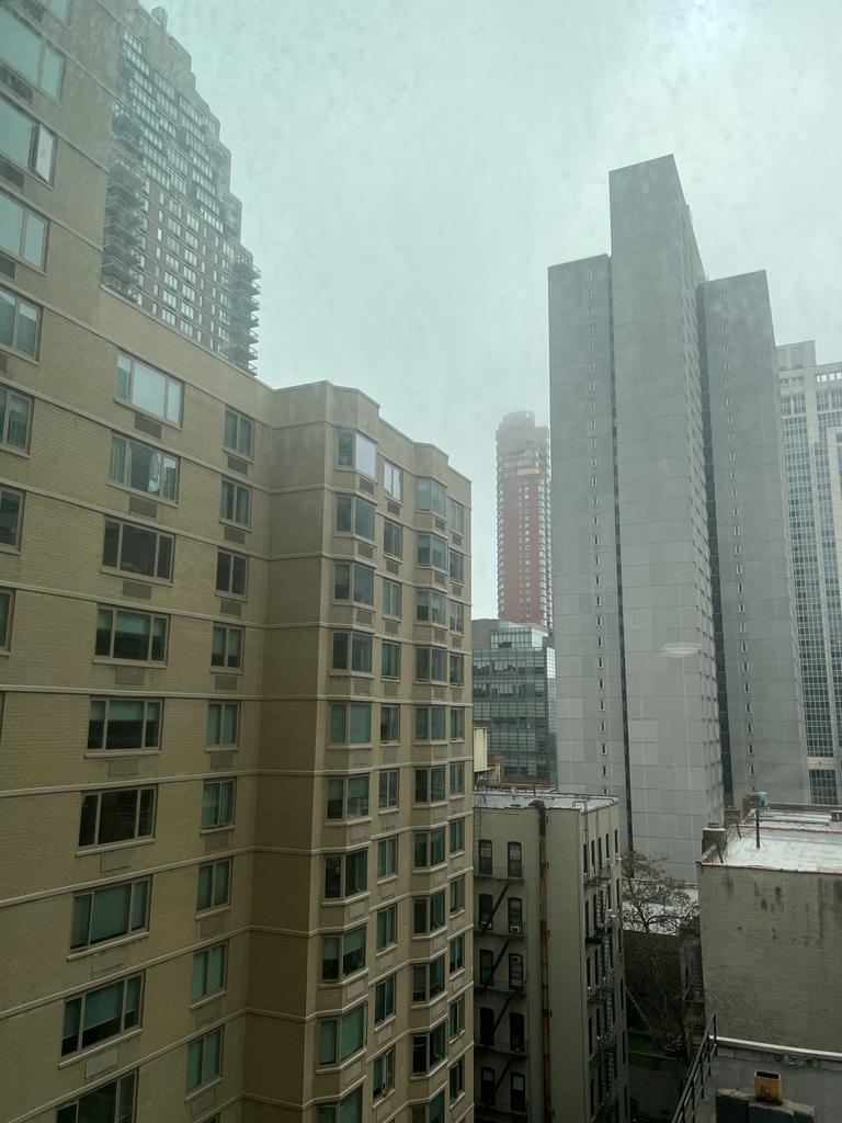East 71st Street - Photo 10