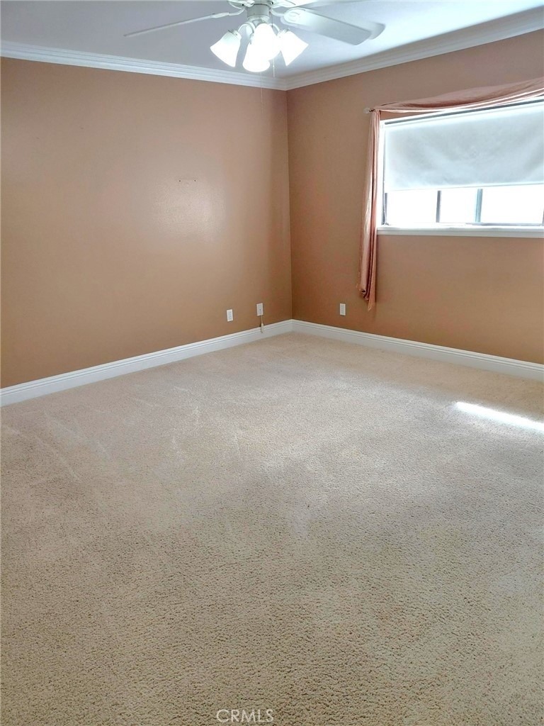14595 Cool Glen - Photo 5