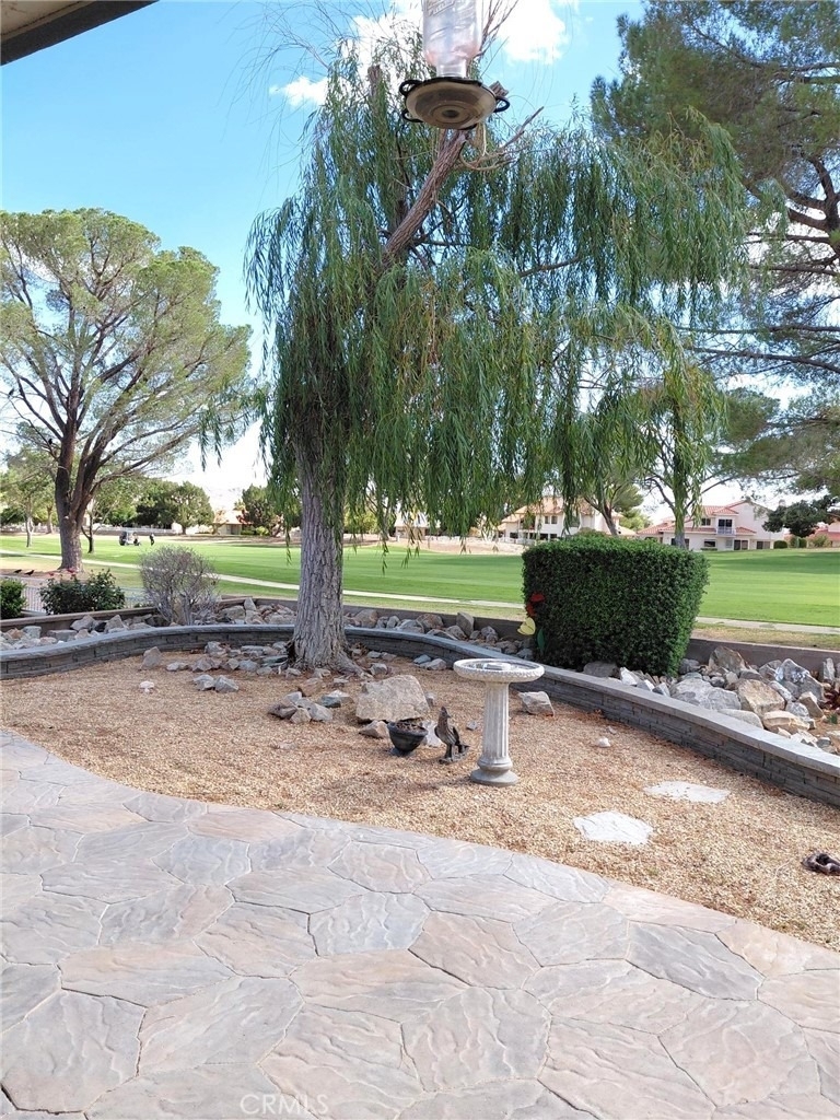 14595 Cool Glen - Photo 14