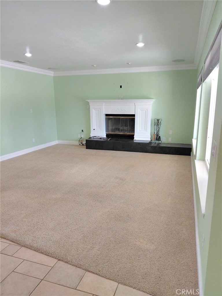 14595 Cool Glen - Photo 9