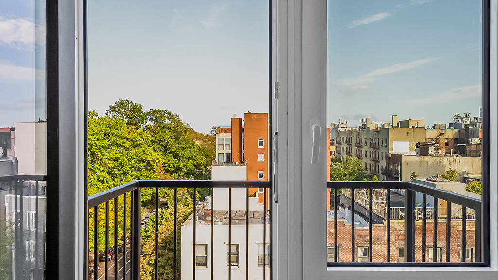 146 Scholes St 11206 - Photo 4