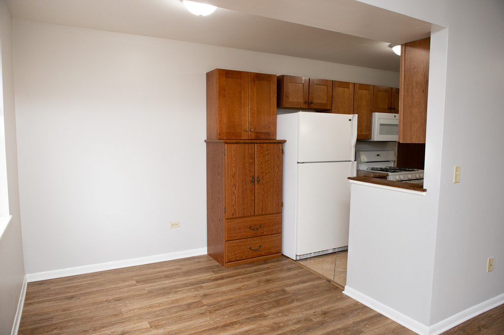 608 N Lake Shore Drive - Photo 6