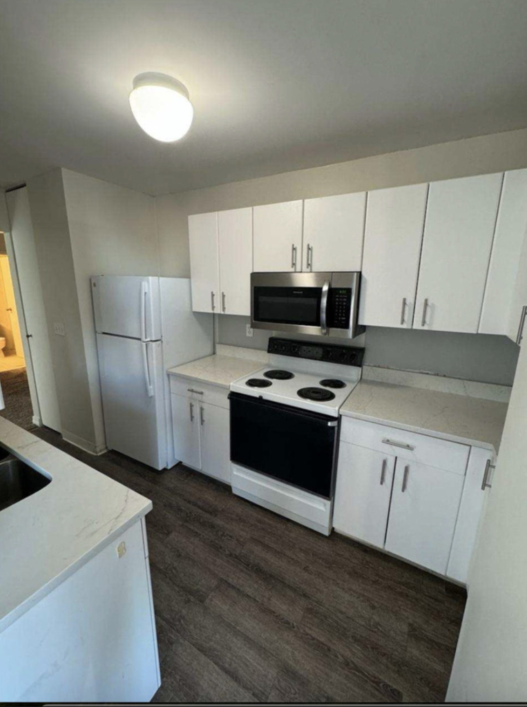 401 E Ontario Street - Photo 1