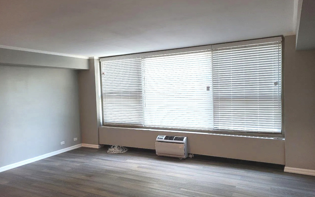 3600 N Lake Shore Drive - Photo 6
