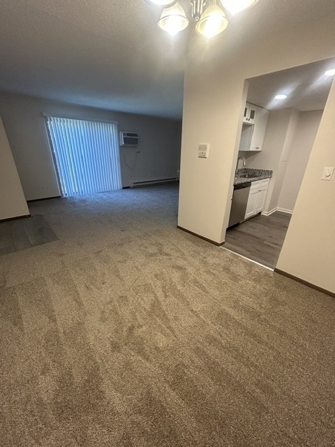 206 W Division Street - Photo 4