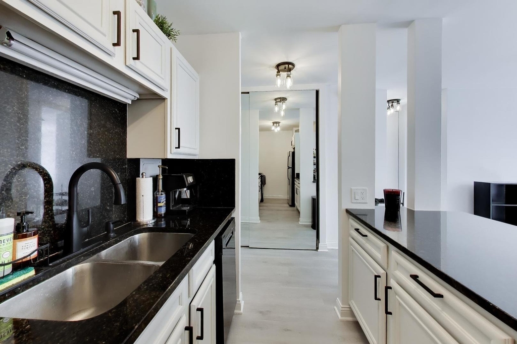 535 N Michigan Avenue - Photo 12