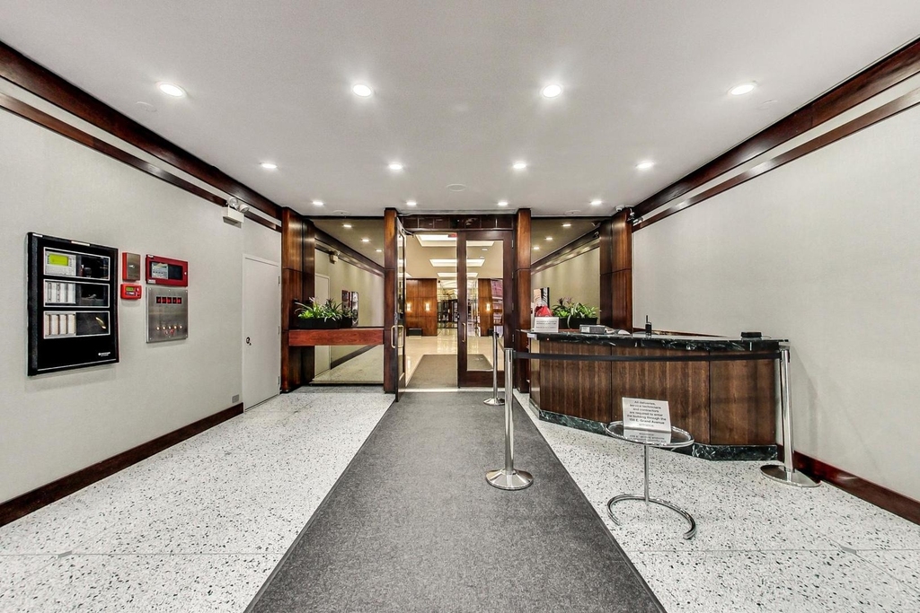 535 N Michigan Avenue - Photo 3
