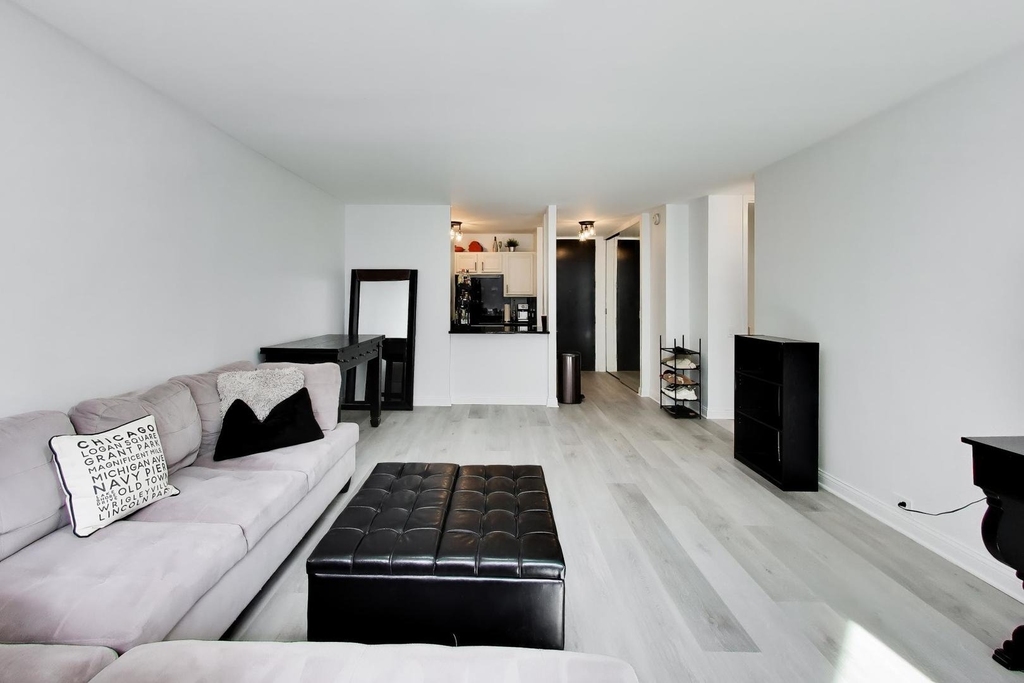 535 N Michigan Avenue - Photo 10