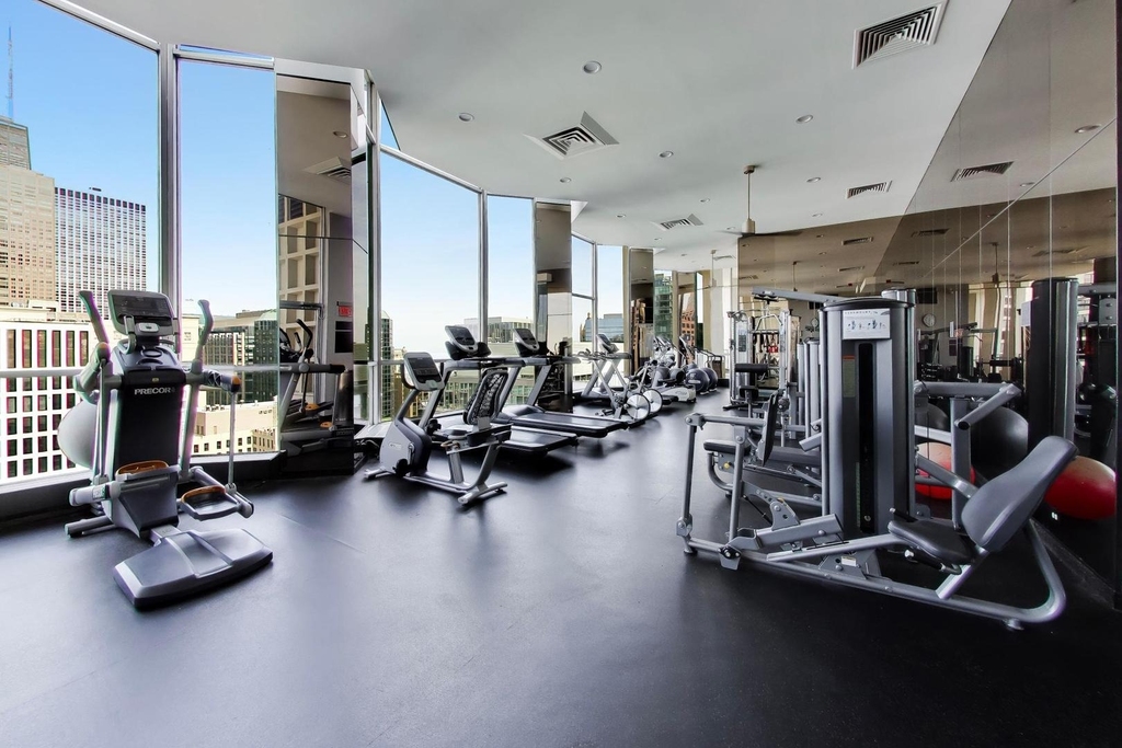 535 N Michigan Avenue - Photo 16