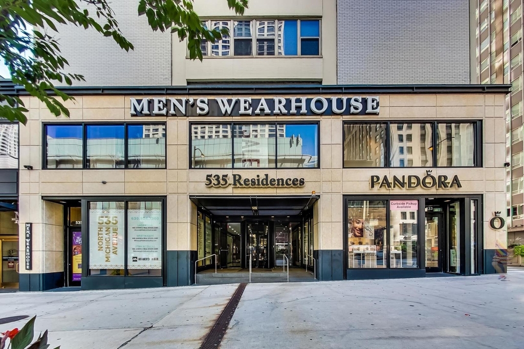535 N Michigan Avenue - Photo 2