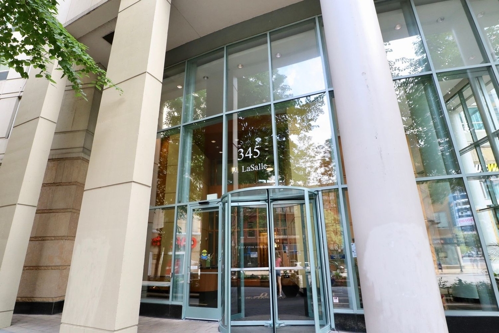 345 N La Salle Drive - Photo 1