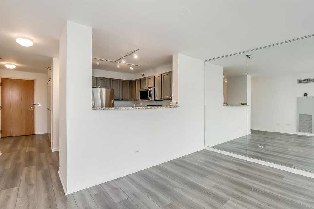 345 N La Salle Drive - Photo 10