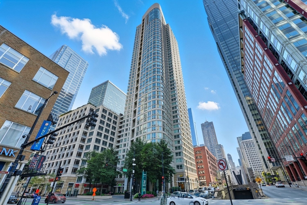 345 N La Salle Drive - Photo 0