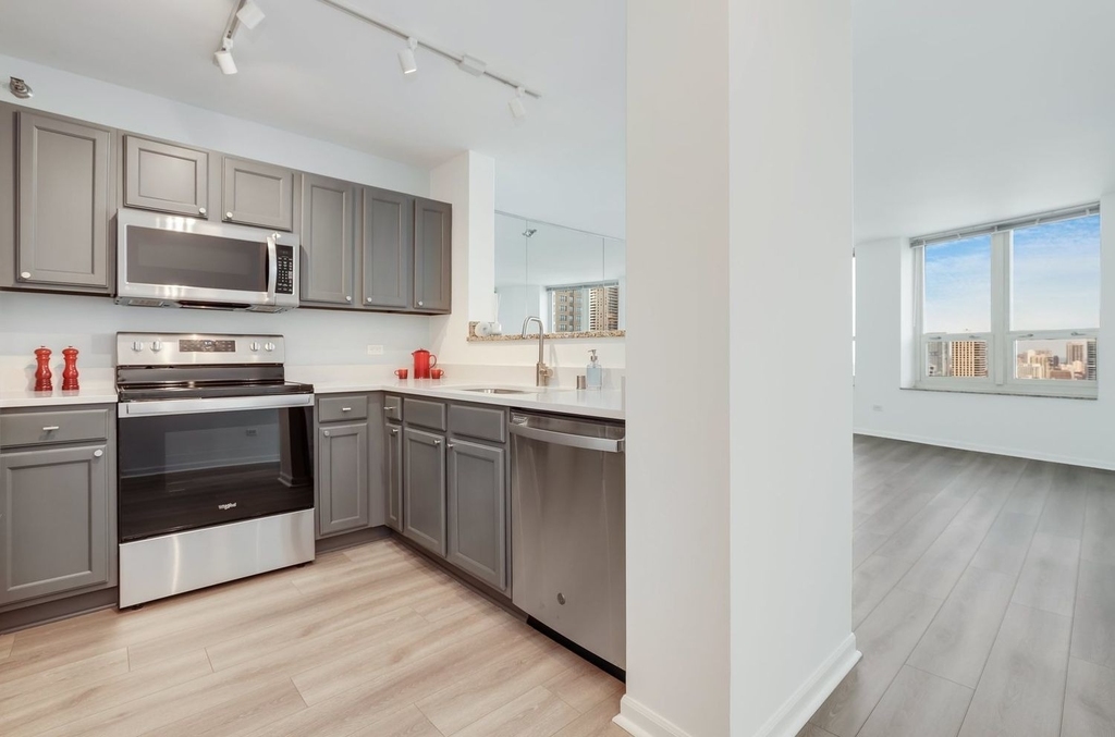 345 N La Salle Drive - Photo 2