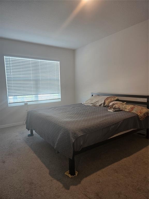 4312 Red Banks Lane - Photo 14