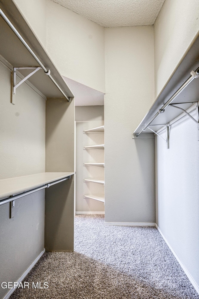 14233 Spanish Point Drive - Photo 42