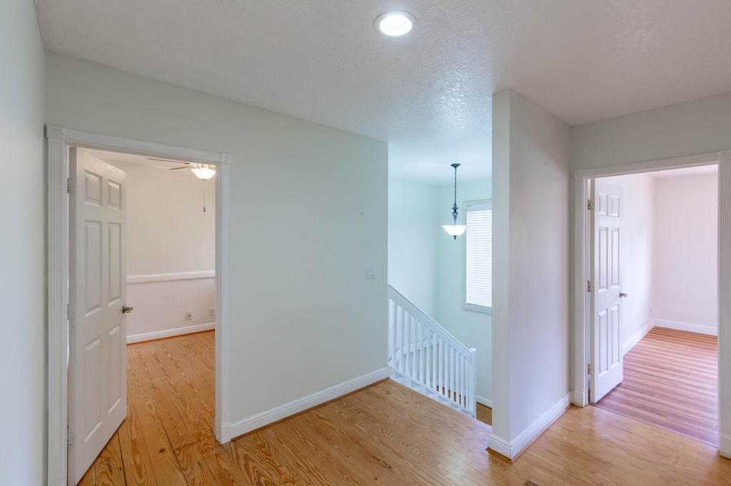 1036 Staghorn Street - Photo 9