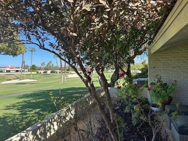 44825 Guadalupe Drive - Photo 1