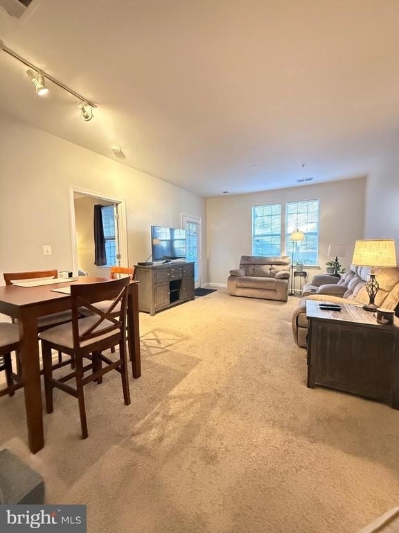 42544 Hollyhock Terrace - Photo 1