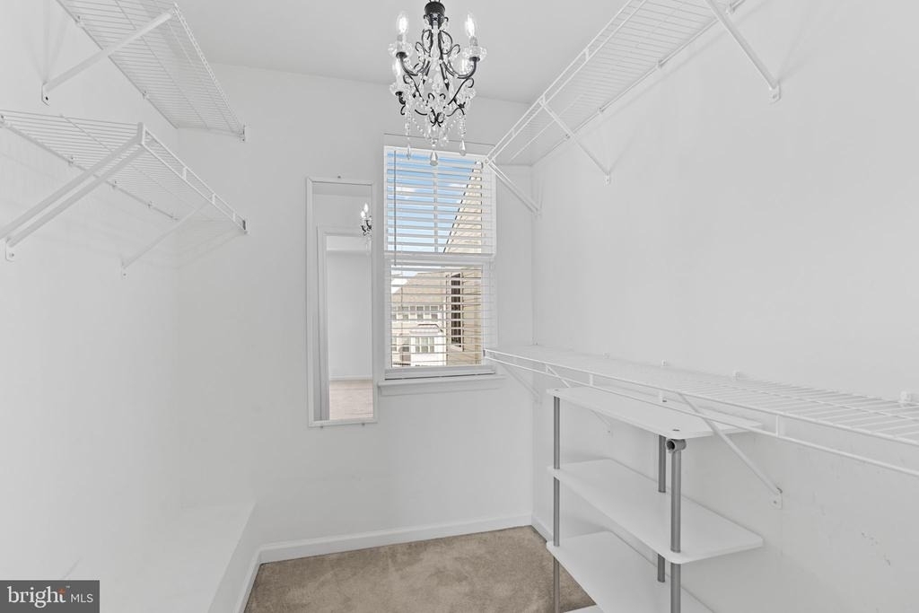 42243 Canary Grass Square - Photo 27