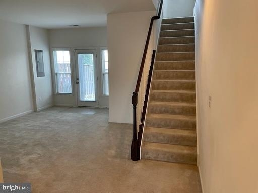 43297 Novi Terrace - Photo 10