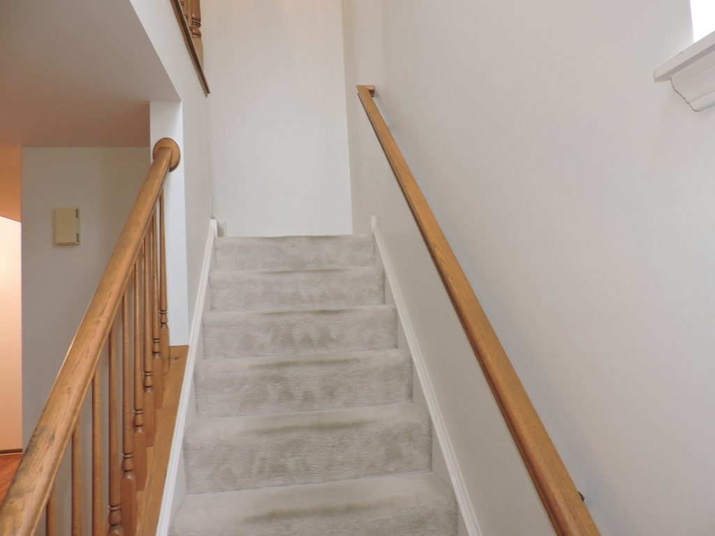 2480 Frost Drive - Photo 12