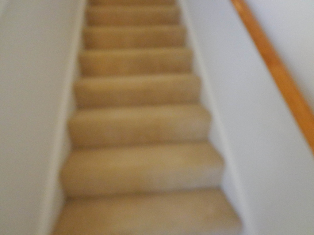 131 Bristol Lane - Photo 9