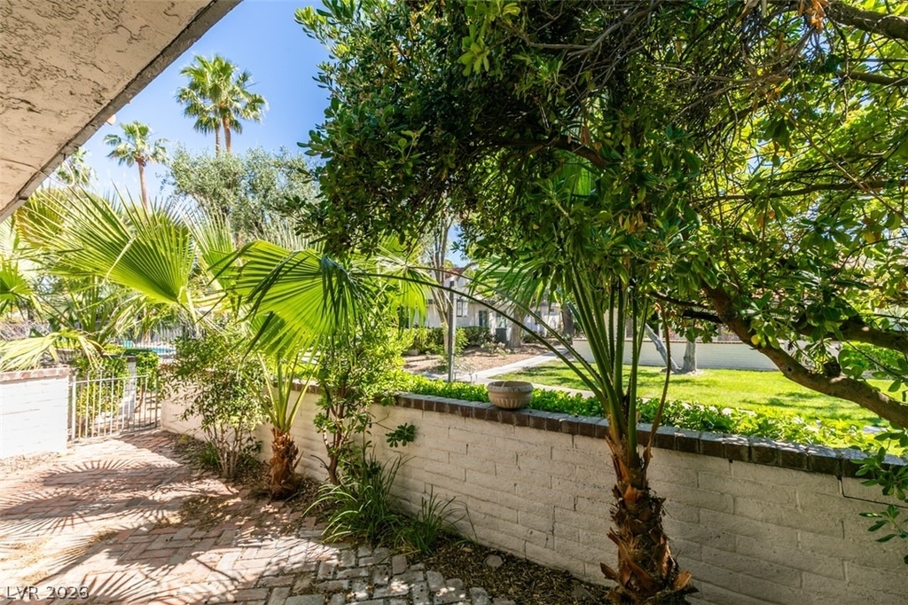 3452 Pino Circle - Photo 41
