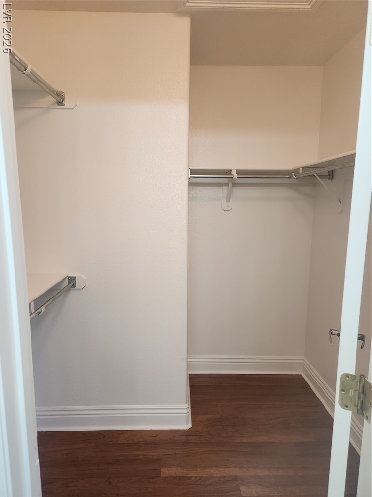 3213 Regal Swan Place - Photo 8