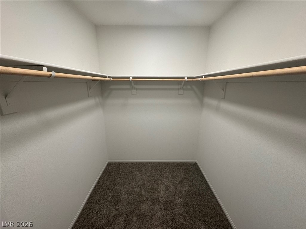 660 Foam Flower Lane - Photo 21