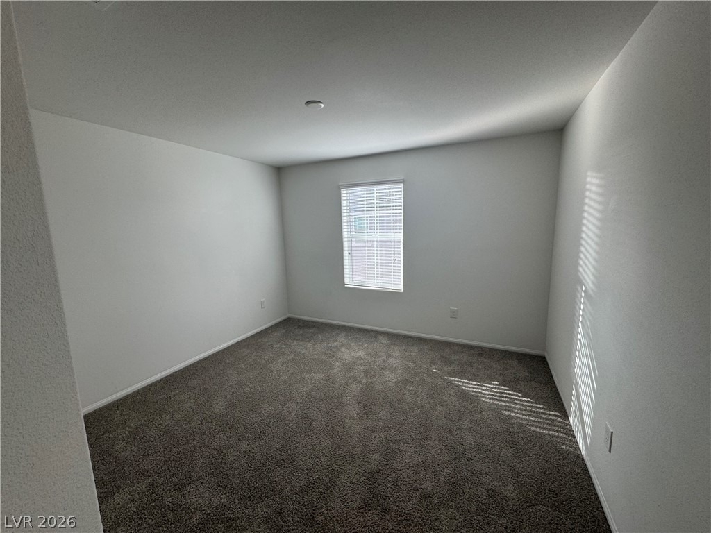 660 Foam Flower Lane - Photo 12