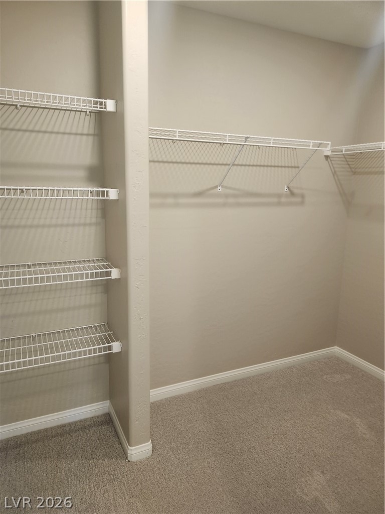 415 Purple Sandpiper Street - Photo 21