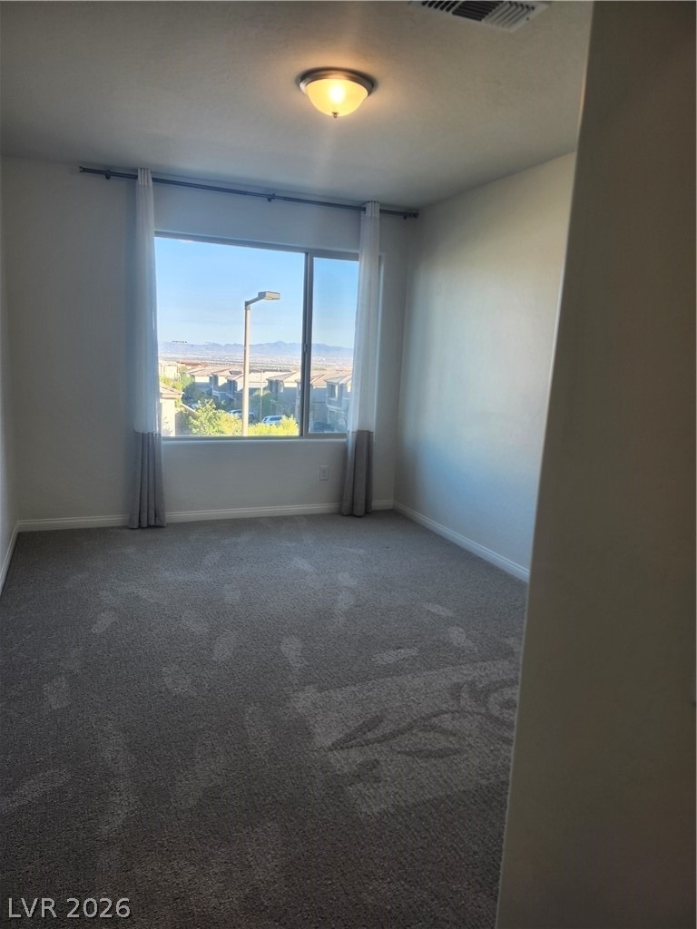 415 Purple Sandpiper Street - Photo 31