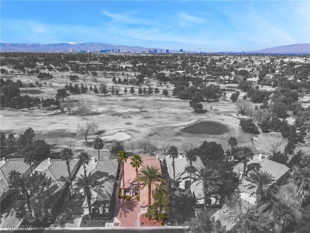 485 Indigo Springs Street - Photo 57