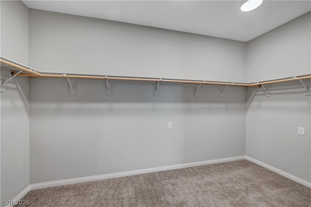 378 Hellebores Avenue - Photo 16