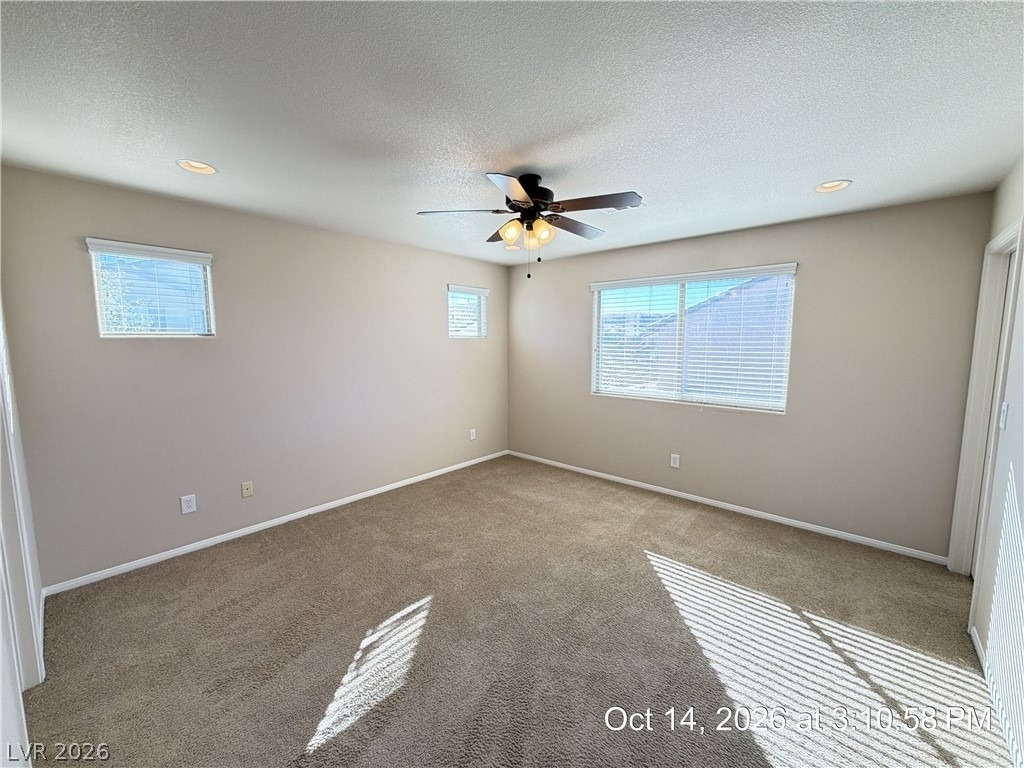 11029 Florence Hills Street - Photo 13