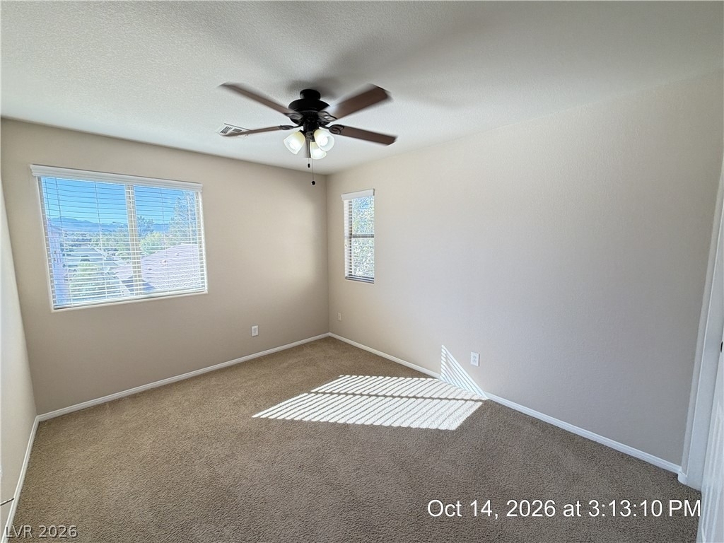 11029 Florence Hills Street - Photo 23
